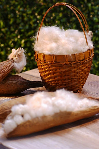 Premium Kapok Fiber from Indonesia