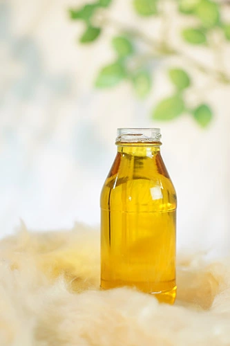 Premium Kapok Seed Oil from Indonesia